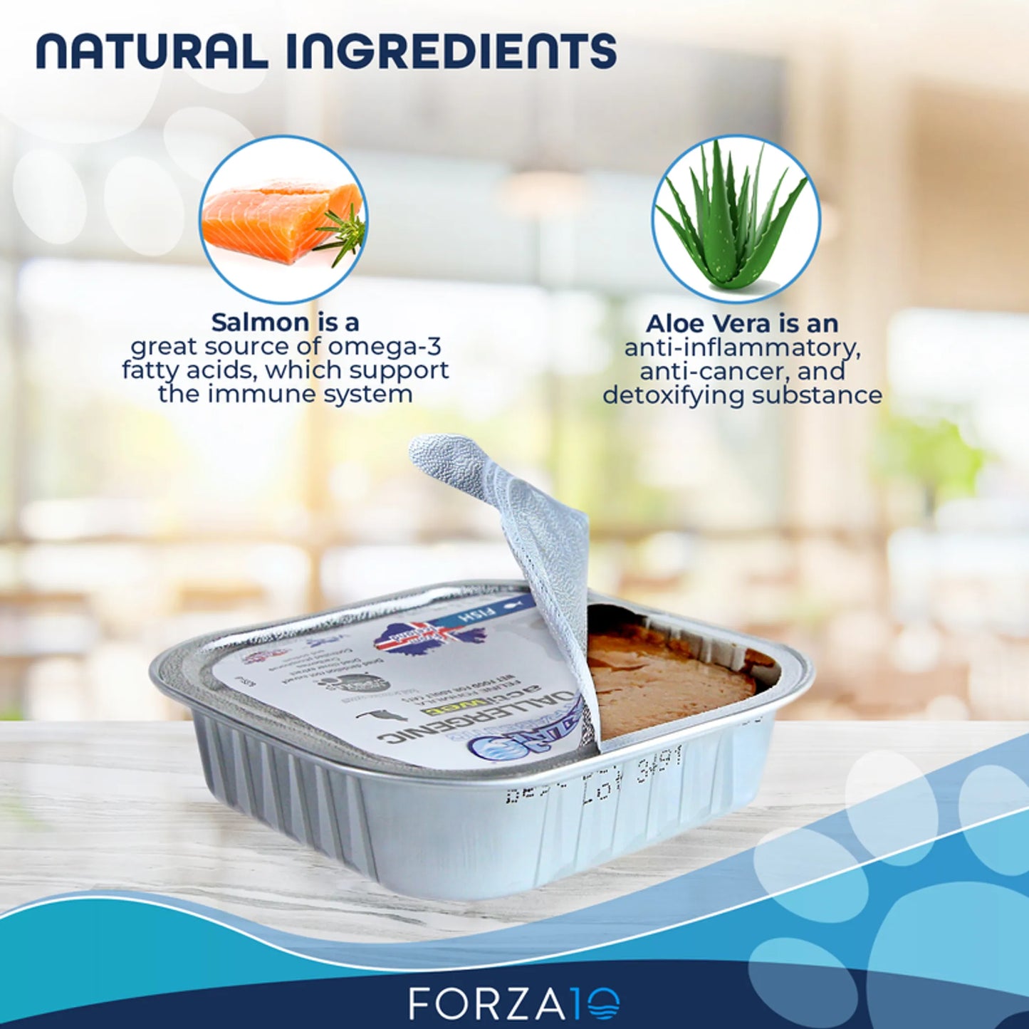 Forza10 Actiwet Hypoallergenic Icelandic Fish Recipe Canned Dog Food - Everpeakgoods
