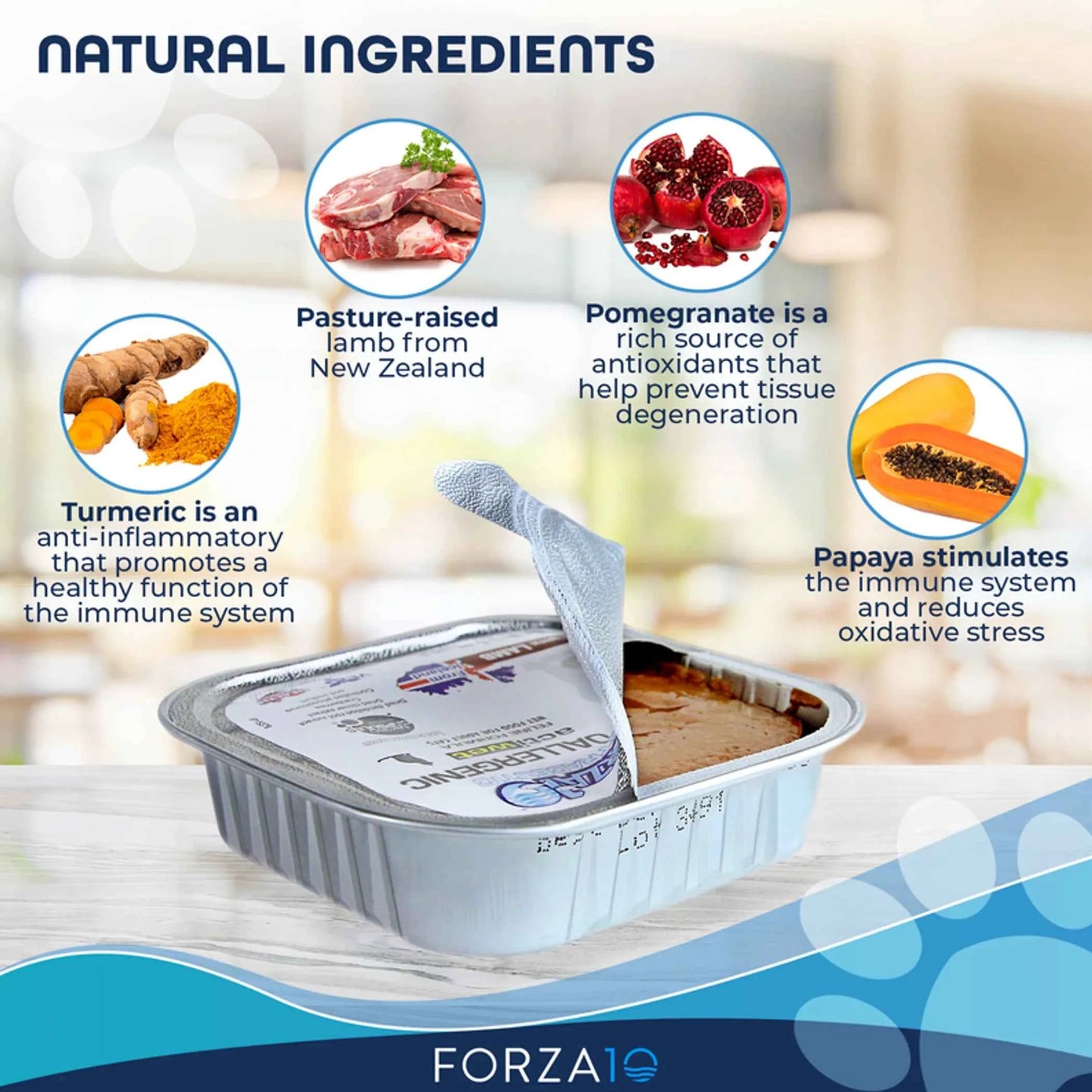 Forza10 Actiwet Hypoallergenic Canned Cat Food - Everpeakgoods