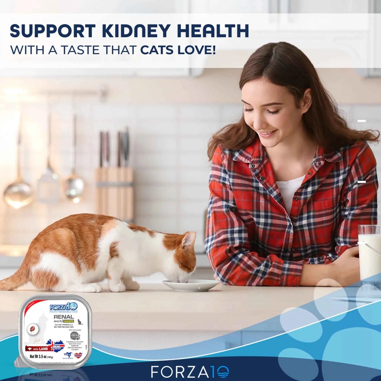 Forza10 Actiwet Renal Support Canned Cat Food - Everpeakgoods
