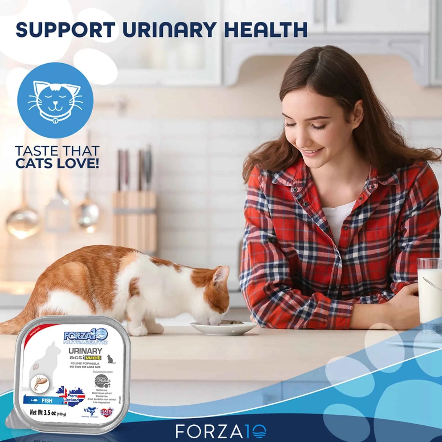 Forza10 Actiwet Urinary Support Icelandic Fish Recipe Canned Cat Food - Everpeakgoods