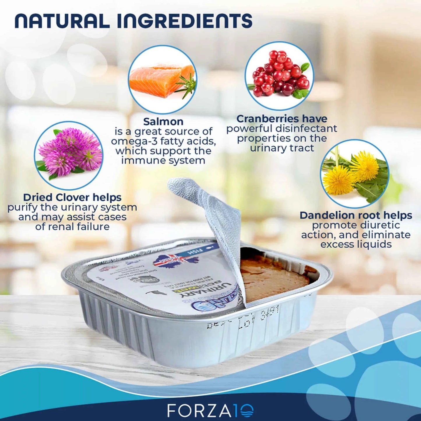 Forza10 Actiwet Urinary Support Icelandic Fish Recipe Canned Cat Food - Everpeakgoods