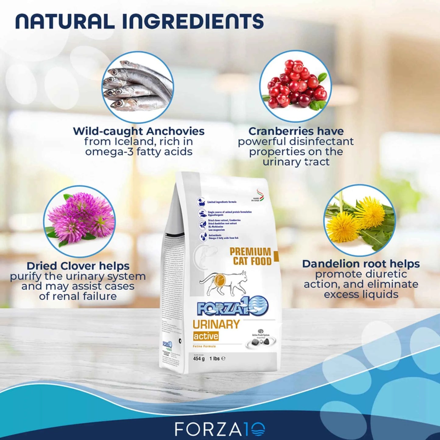Forza10 Active Urinary Dry Cat Food - Everpeakgoods