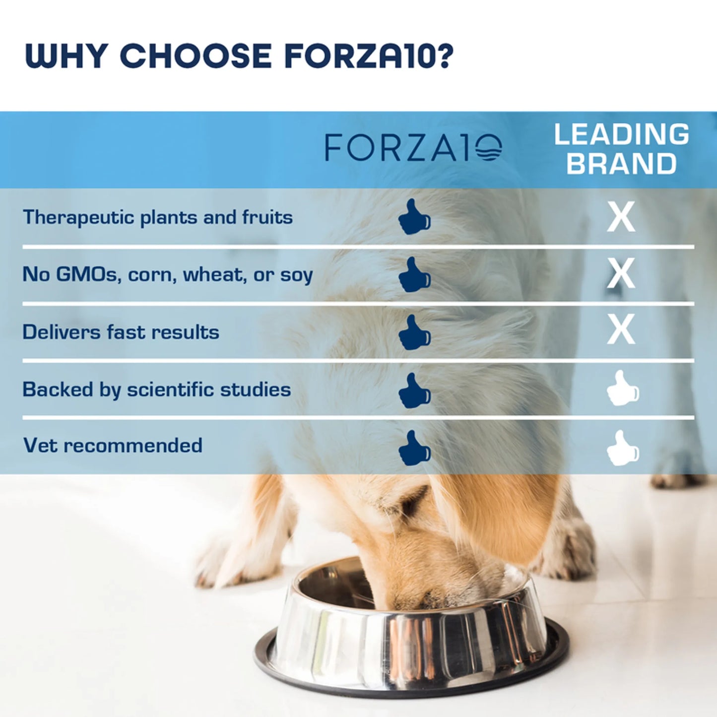 Forza10 Sensitive Skin Plus - Everpeakgoods