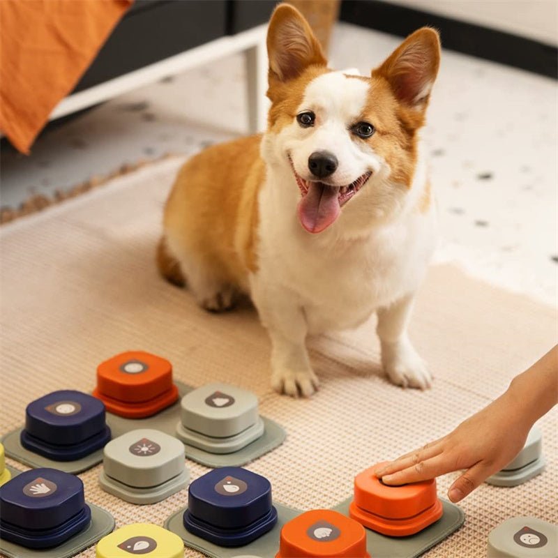 4 Colors Pet Communication Button One - click Prevent Physical Inactivity Recordable Dog Talking Button Toy Cat Toy Pet Products - Everpeakgoods