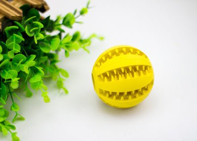 Rubber Mint Feeding Ball Built-in Food Storage Bin - key words