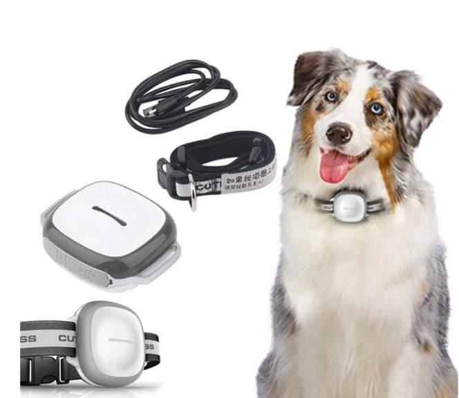 Collared Cat Dog Tracker Pet Locator Pet - key words