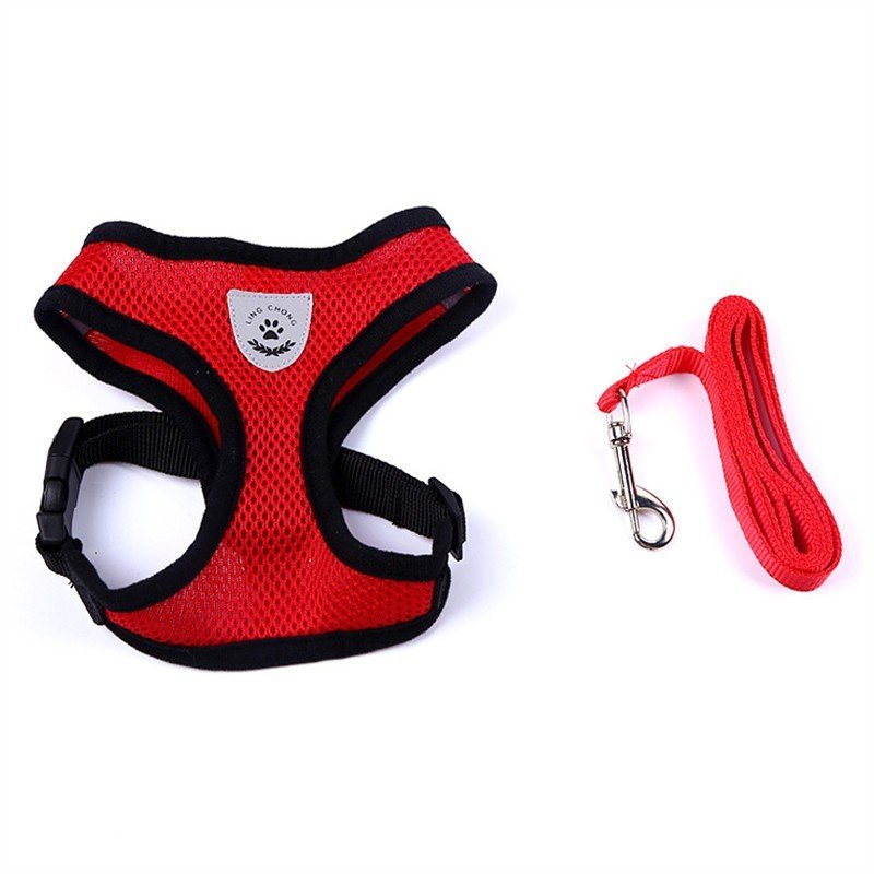 Pet Car Seat Belt Pet Leash - key words
