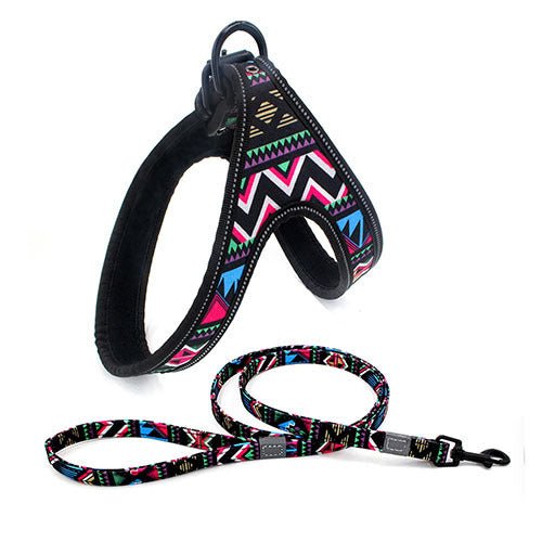 Colorful Dog Leash Dog Walking Rope Small And Medium-sized Dog Explosion-proof Dog Chain - key words