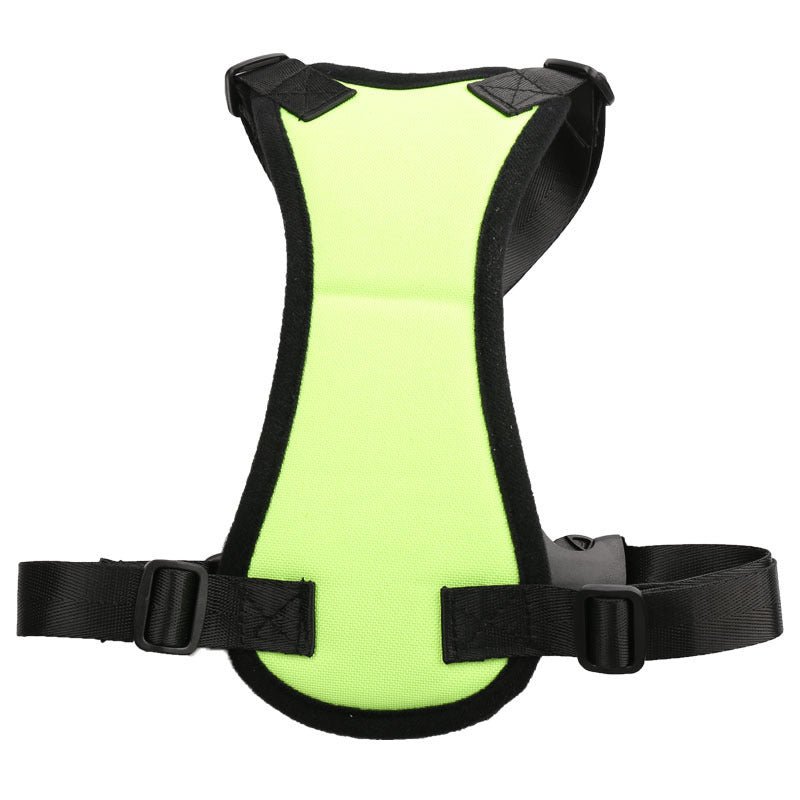Car seat belts for pets - key words