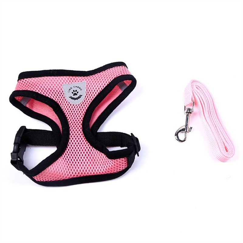 Pet Car Seat Belt Pet Leash - key words