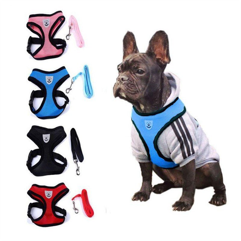 Pet Car Seat Belt Pet Leash - key words