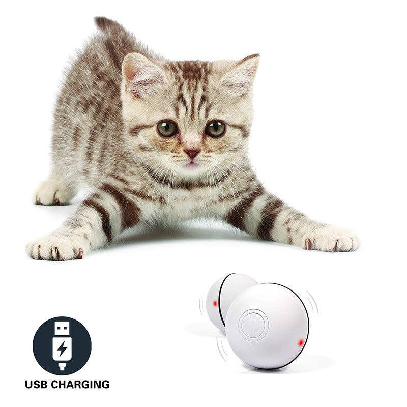 LED Laser Electronic Rolling Pet Funny Cat Toy Ball - key words