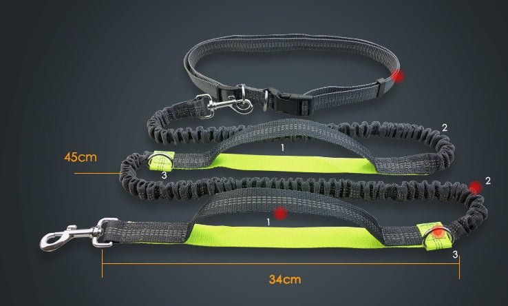 Amazon direct pet supplies multi-function running reflective pull dog leash double elastic dog leash traction - key words