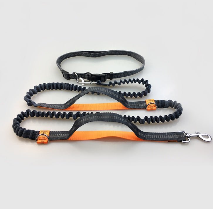 Amazon direct pet supplies multi-function running reflective pull dog leash double elastic dog leash traction - key words