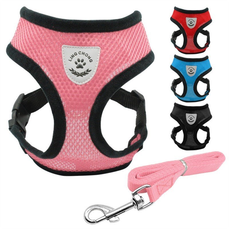 Pet Car Seat Belt Pet Leash - key words