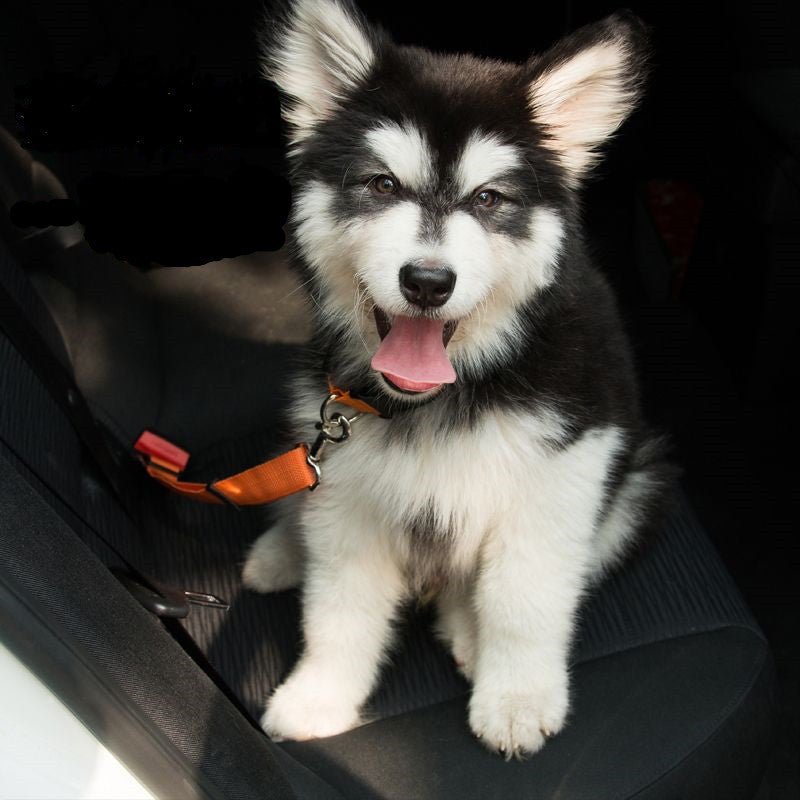 Adjustable Dog Seat Belt Dog Car Seatbelt Harness Leads Elastic Reflective Safety Rope - key words