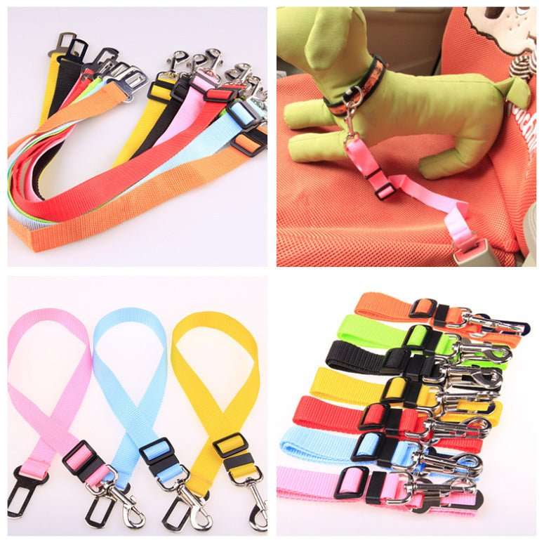Fixed Strap Polyester Dog Strap Dog Leash Dog Leash - key words