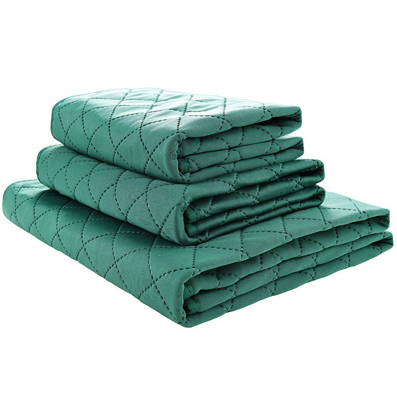 Natural Bamboo Fiber Pet Fixed-point Training Deodorant Moisture-proof Dog Pad - key words