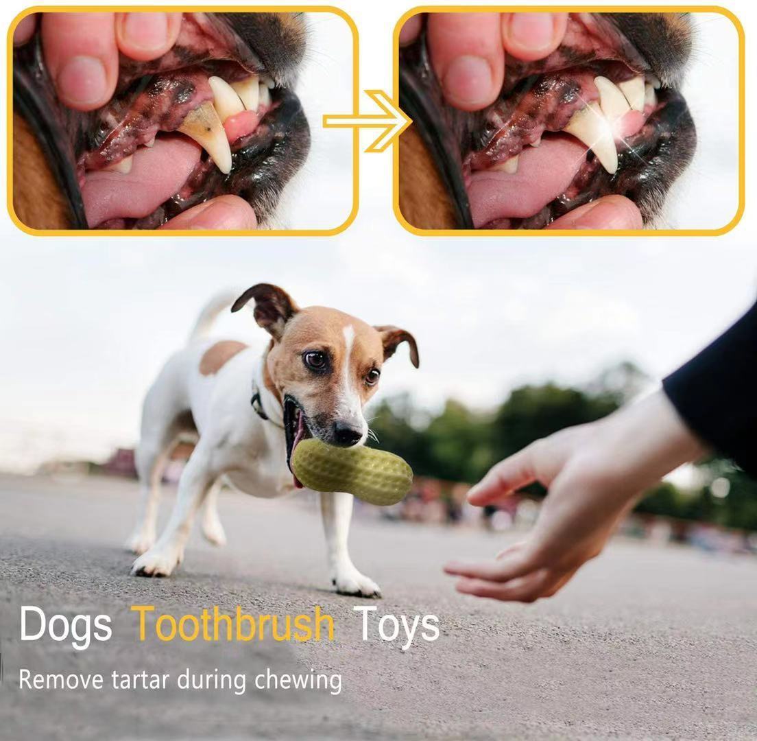 Funny Pet Dog Squeaky Toys For Small Middle Dogs Bite Resistant Puppy Cat Dogs Toys Pets Rubber Peanut Clean Tooth Chew Toy - key words
