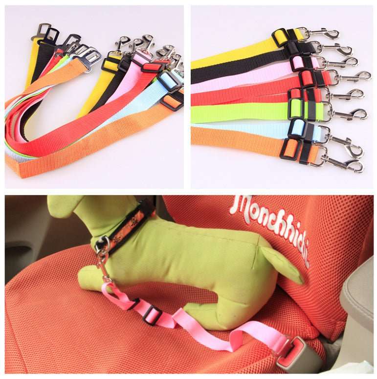Fixed Strap Polyester Dog Strap Dog Leash Dog Leash - key words
