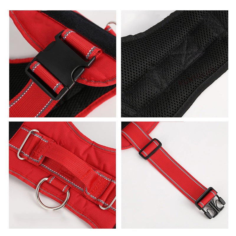 Personalization Of Pet Chest Strap Products - key words