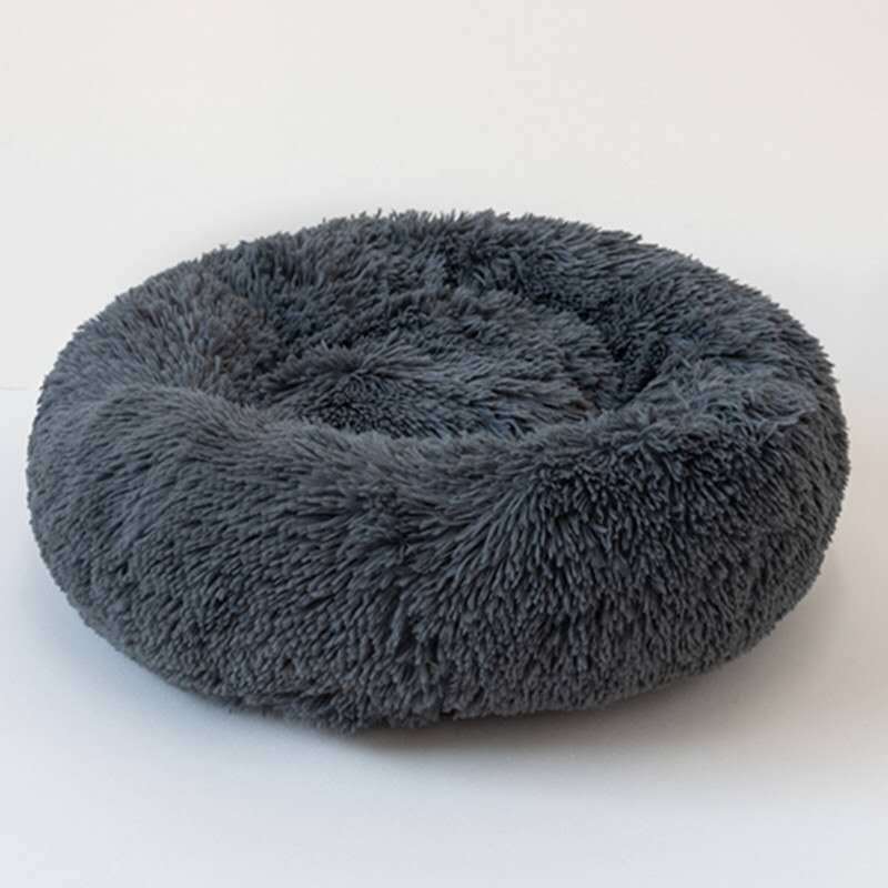 Pet sleep bed - key words