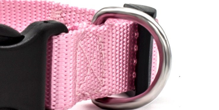 New Pet Collar - key words