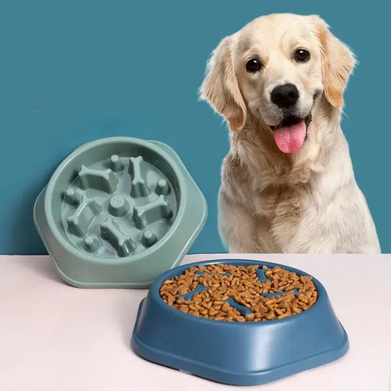 Slow Feeder Pet Bowl - Everpeakgoods