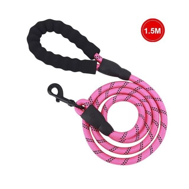 Small Medium Sized Pet Dog Luminous Leash Chain Puppies - key words