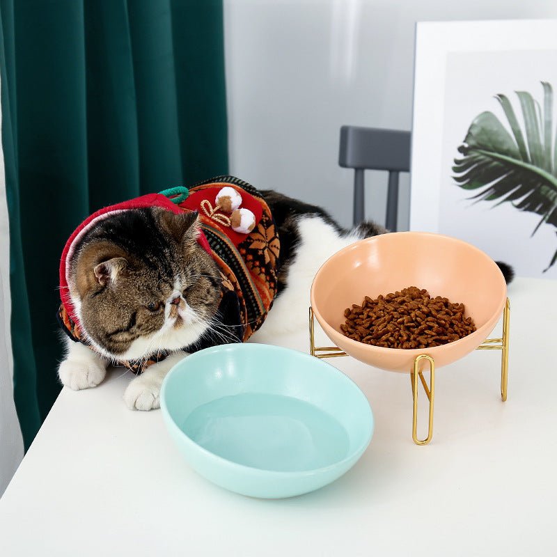 Pet bowl pet supplies - key words