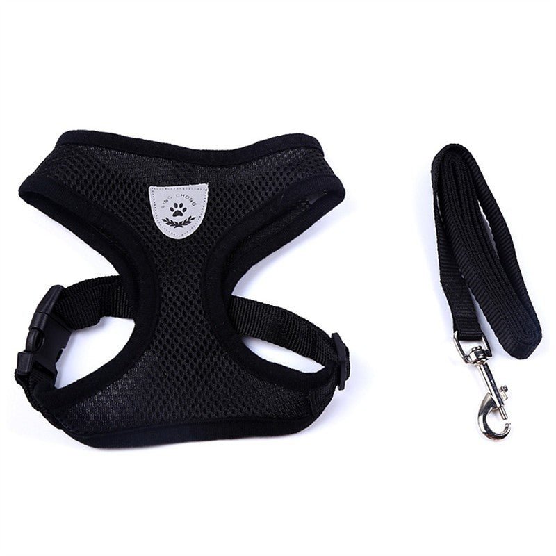 Pet Car Seat Belt Pet Leash - key words