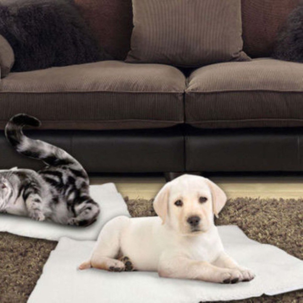 Self Heating Dog Cat Blanket Pet Bed Thermal Washable No Electric Blanket Super Soft Puppy Kitten Blanket Beds Mat - key words