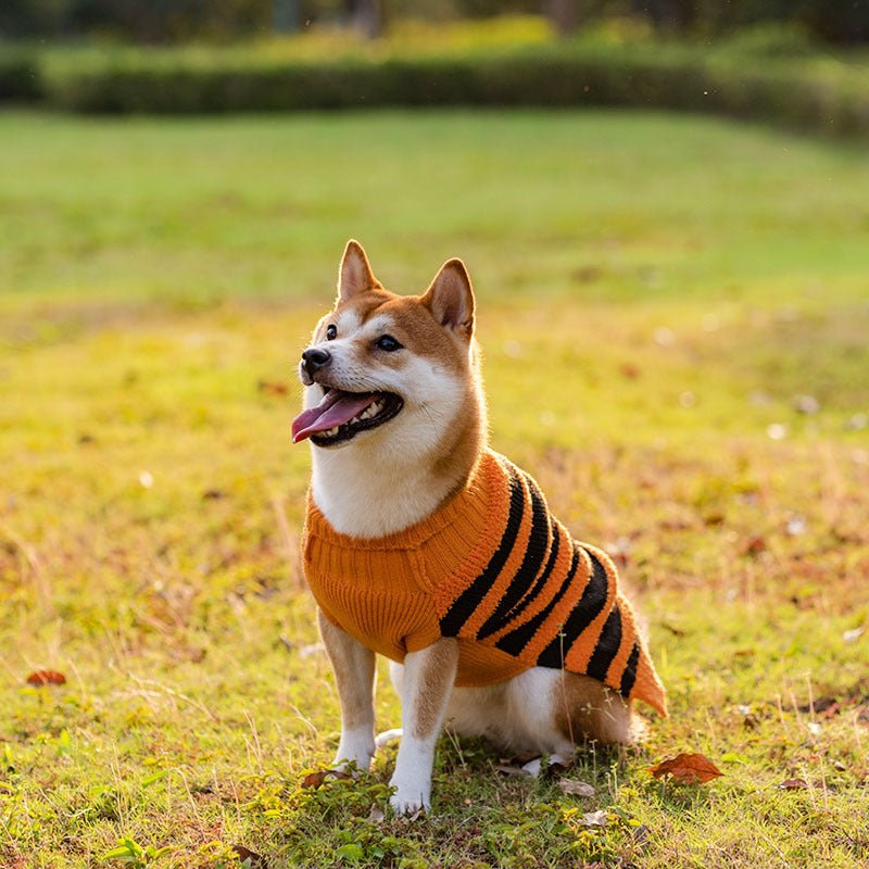 Halloween Dog Sweaters Pet Costume Teddy Warm Leisure Sweater Cosplay Clothes For Dogs Pets Outfits - key words