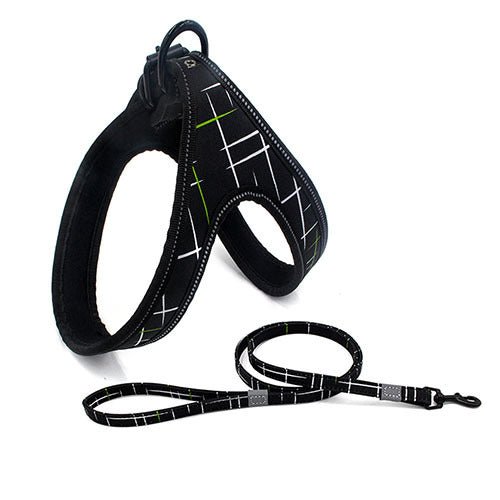 Colorful Dog Leash Dog Walking Rope Small And Medium-sized Dog Explosion-proof Dog Chain - key words