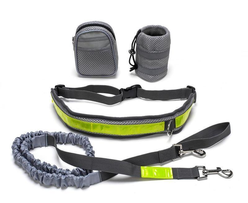 Adjustable Hands Free Dog Leash - key words