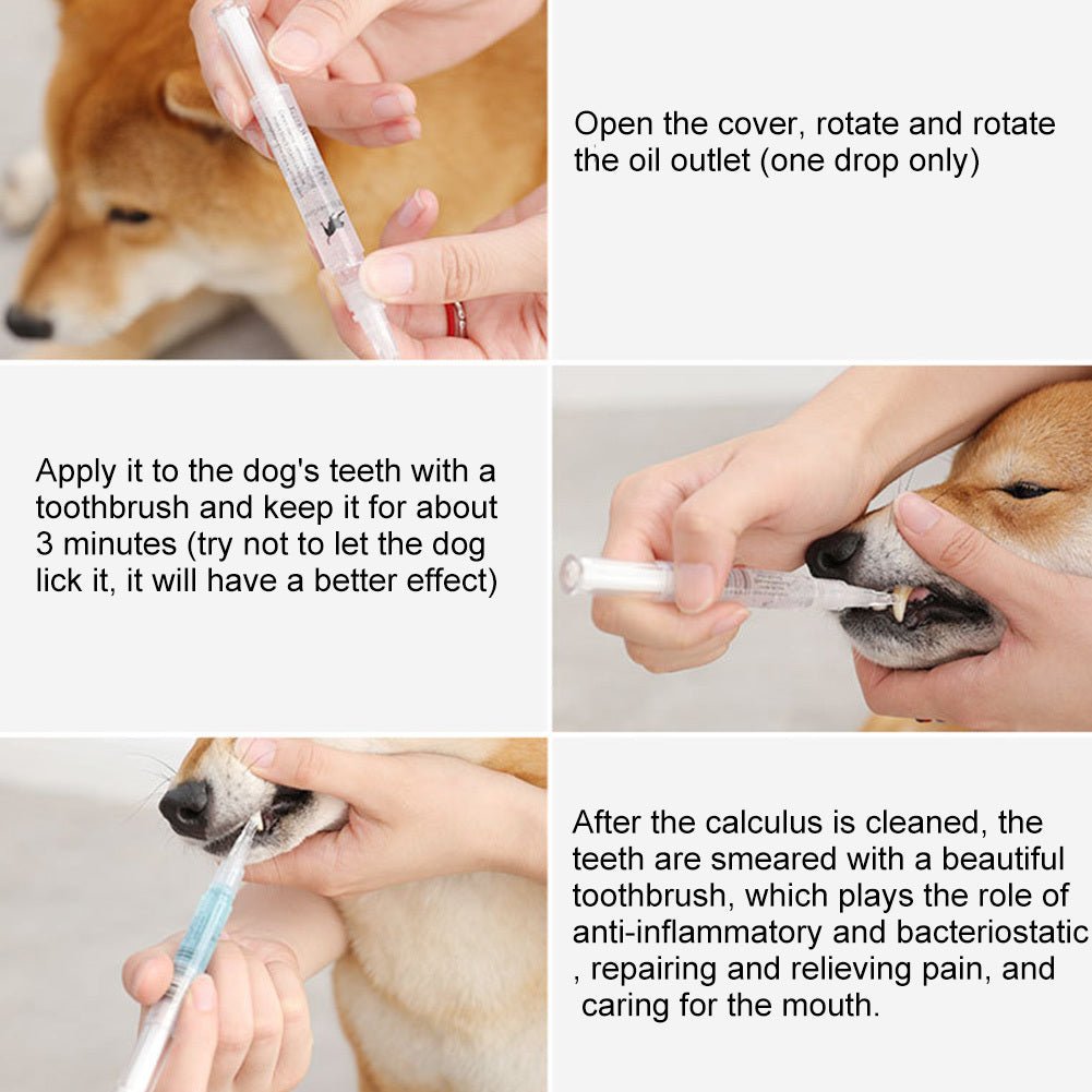 Pet Teeth Repairing Kit For Dog Cat Teeth Cleaning Pen Kit - key words