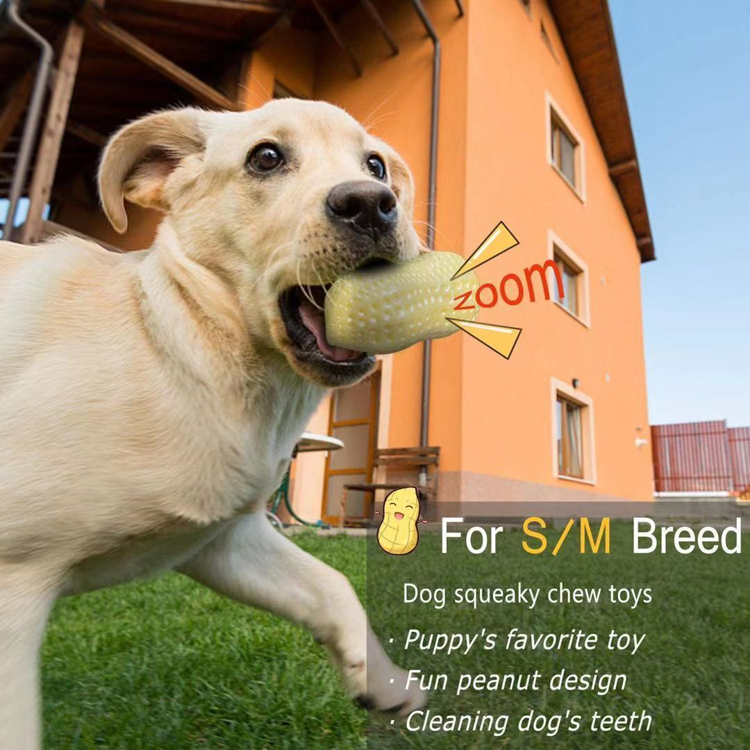 Funny Pet Dog Squeaky Toys For Small Middle Dogs Bite Resistant Puppy Cat Dogs Toys Pets Rubber Peanut Clean Tooth Chew Toy - key words