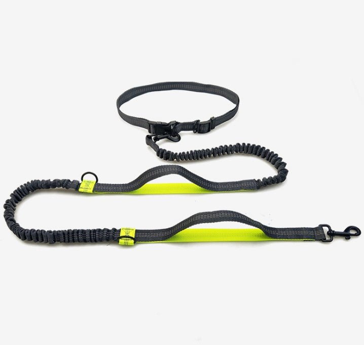 Amazon direct pet supplies multi-function running reflective pull dog leash double elastic dog leash traction - key words
