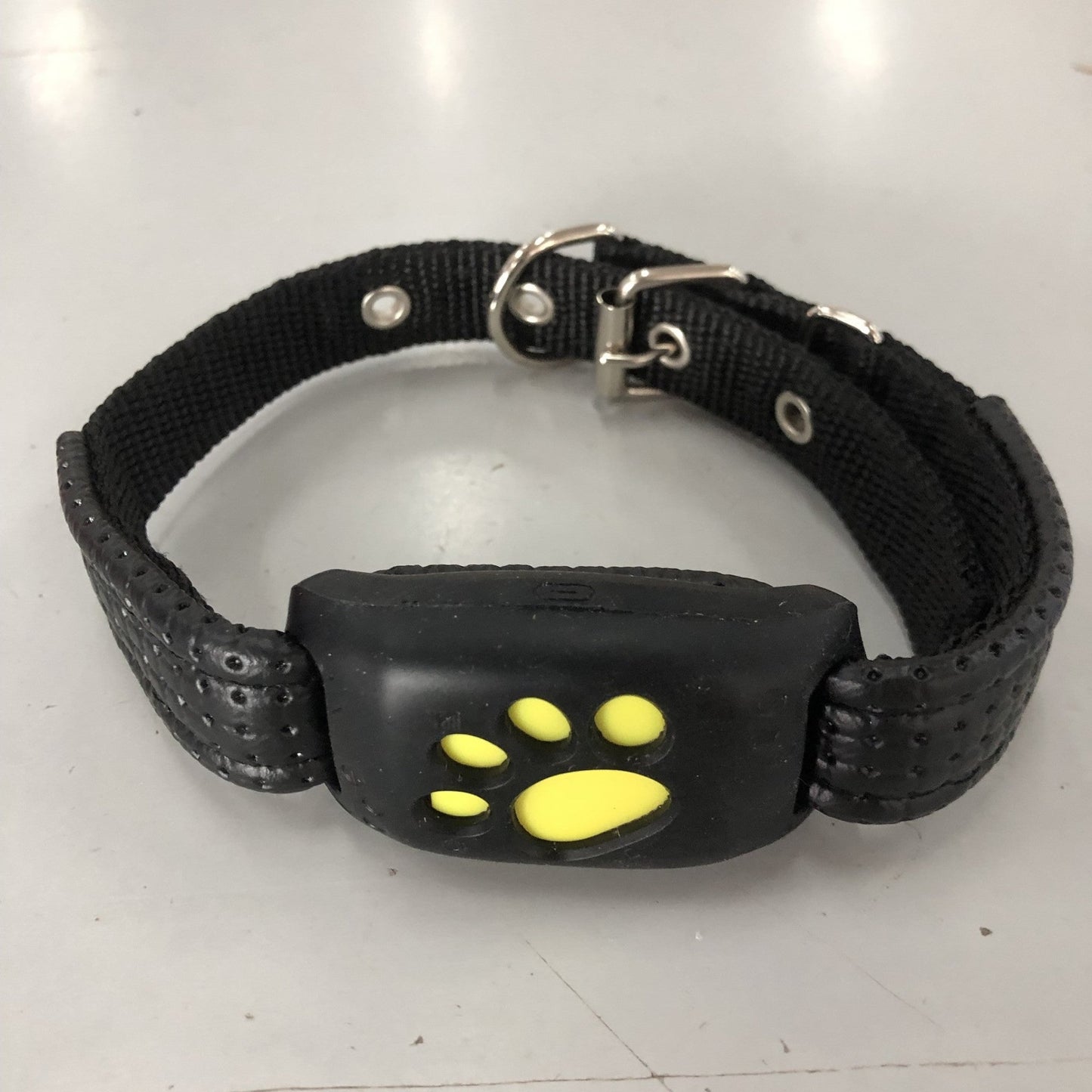 GPS Pet Tracker - key words