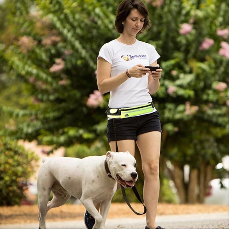 Hands Free Dog Leash Pet Walking And Training Belt With Shock Absorbing Bungee Leash For Up To 180lbs Large Dogs Phone Pocket And Water Bottle Holder - key words