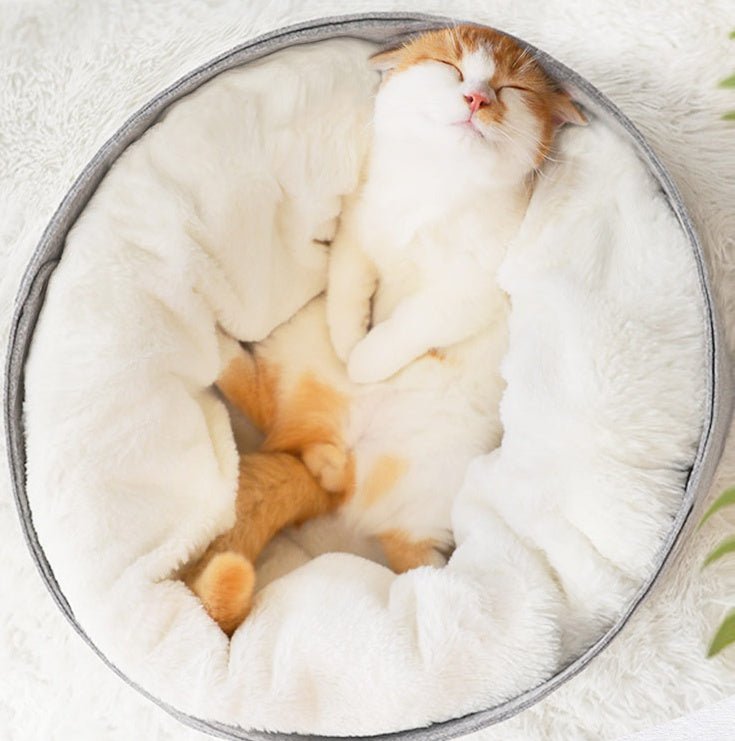 pet bed - key words
