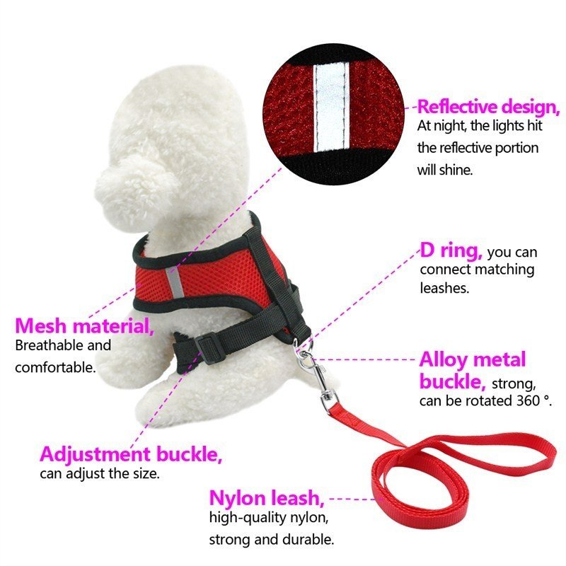 Pet Car Seat Belt Pet Leash - key words