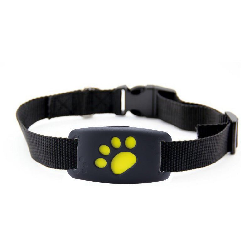 GPS Pet Tracker - key words