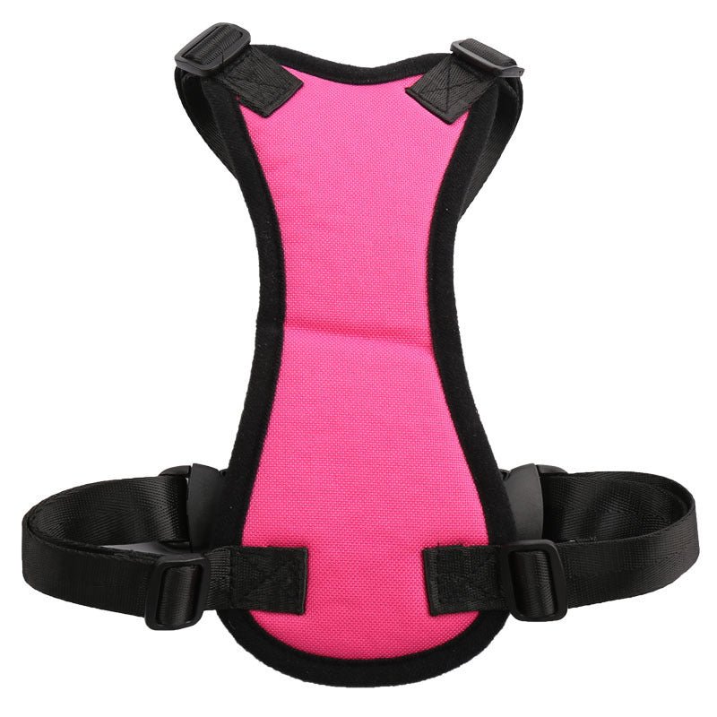 Car seat belts for pets - key words