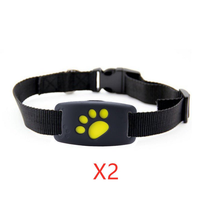 GPS Pet Tracker - key words