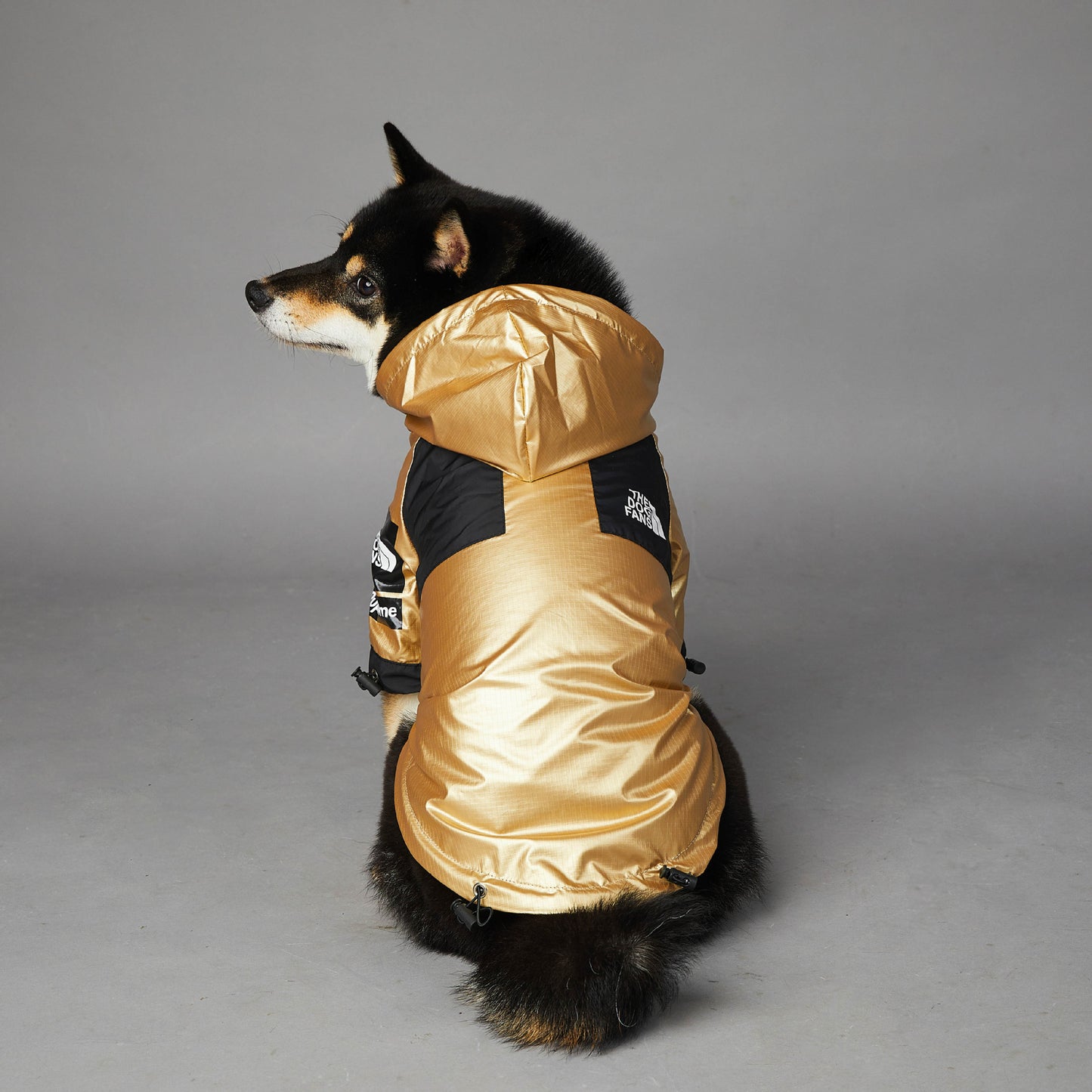 Dog Large Dog Raincoat Pet Jacket - key words