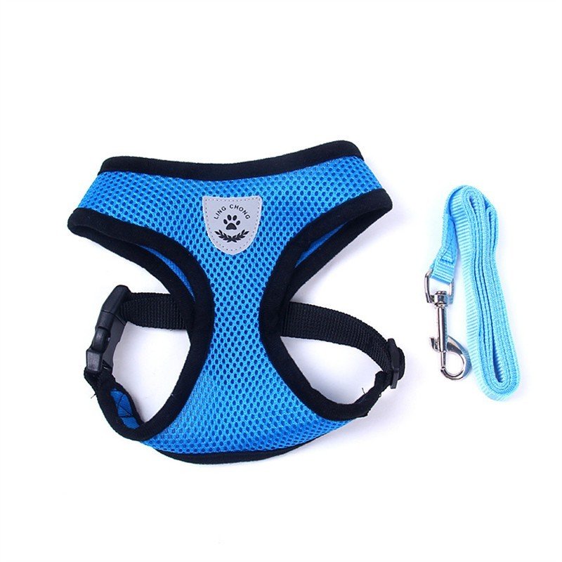 Pet Car Seat Belt Pet Leash - key words