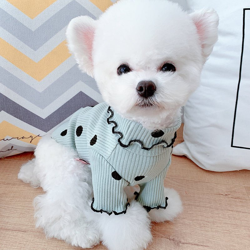 Dot turtleneck dog bottoming shirt - key words