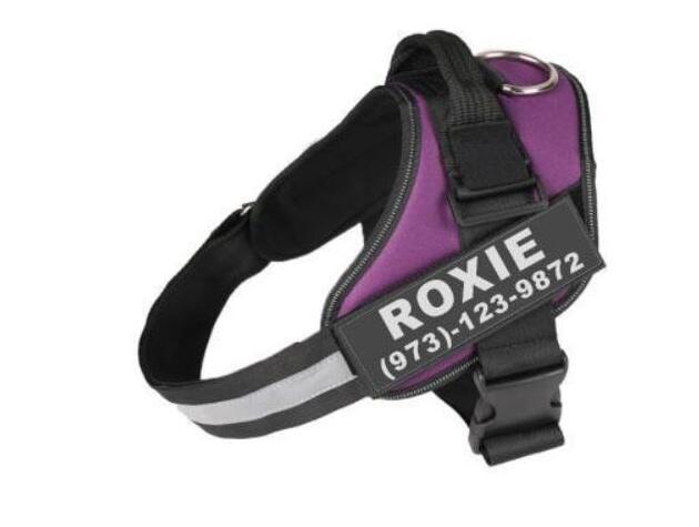 Personalized Custom Reflective Breathable Dog Harness NO PULL Adjustable Pet Harness For Small Large Dog Harness Vest With Patch - key words