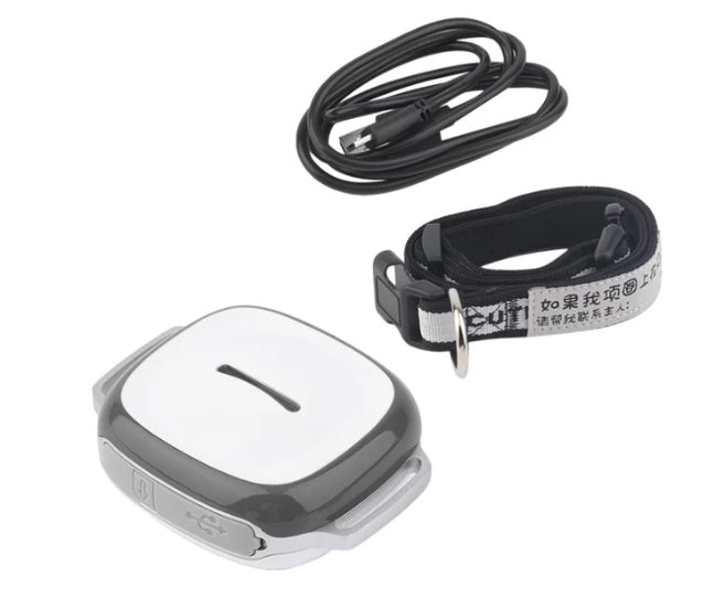 Collared Cat Dog Tracker Pet Locator Pet - key words